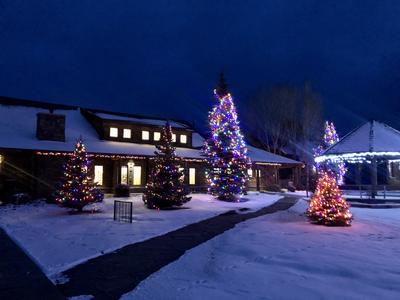 Juniper Library Holiday Lights