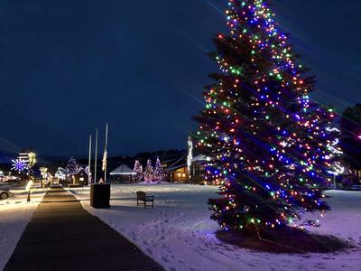 Town Park Holiday 