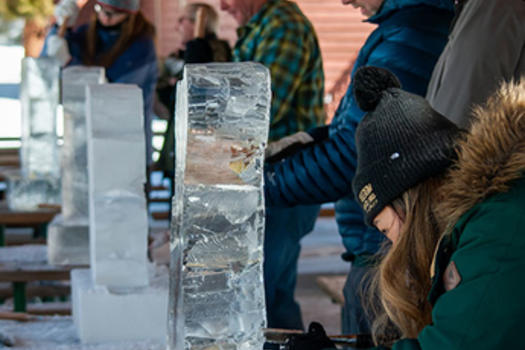 Ice Sculpting Class